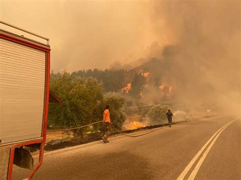 Fire In Greece Maura Sherrie