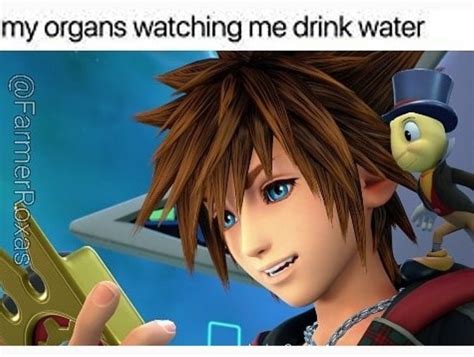 160 Funniest Kingdom Hearts Memes Of All Time Fandomspot