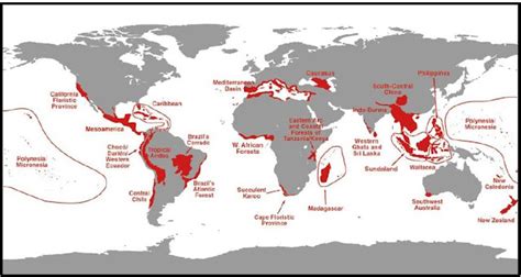 bitacora naturae marzo