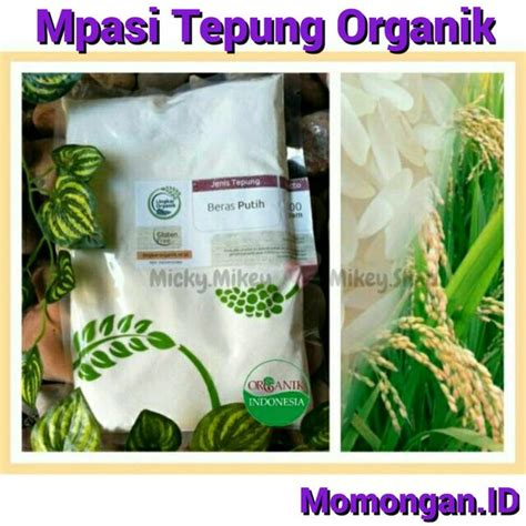 Jual Mpasi Tepung Beras Putih Organik Gram Lingkar Organik Di Lapak