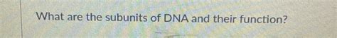 What are the subunits of DNA and their function? [Biology]