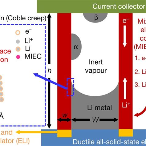 Mixed Ionic Electronic Conductor Miec Tubules As 3d Li Download