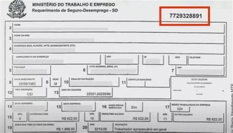 Seguro Desemprego Onde Encontrar O N Mero Do Requerimento Para Da Hot