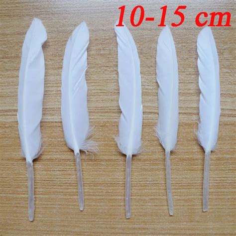 PLUME DE DECORATION JJHJ 20 Pcs Plumes De Poulet De Paon Plumes De