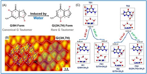 Waterassisted Tautomerization Of Guanine From G H To G H H On