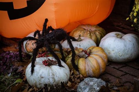 Halloween Giant Spider Decoration Photos, Download The BEST Free Halloween Giant Spider ...