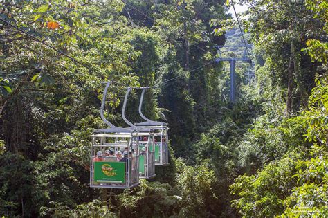 Monteverde Sky Tram and Sky Walk - Costa Rica