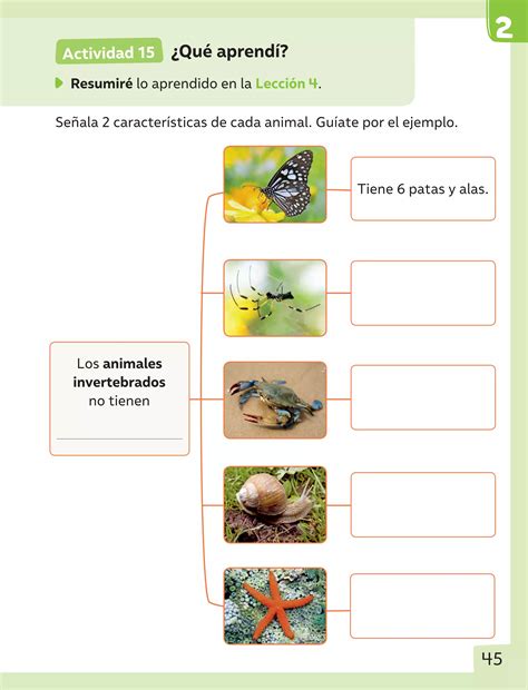 Cuaderno De Actividades Ciencias Naturales PDF