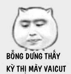 36 Meme ý tưởng | trào lưu vui nhộn, meme, hài hước