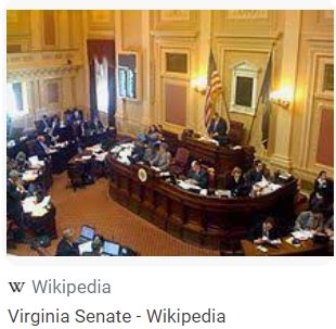 Ranking the VA State Senate Primaries So Far, From Very Interesting to ...