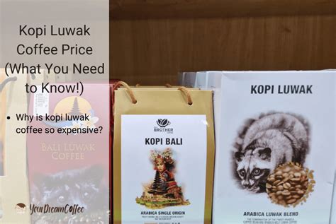 Kopi Luwak Coffee Price What You Need To Know