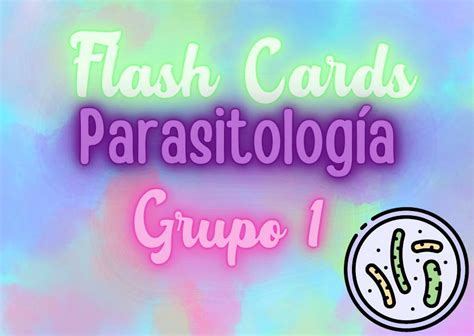 Flash Cards Parasitología Nataly Iriarte Pinto Udocz