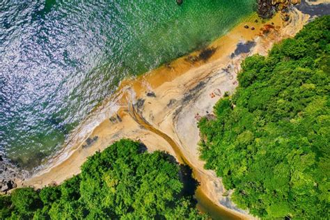 Visita Guiada Por Ilha Grande E Pela Praia Preta Civitatis Brasil