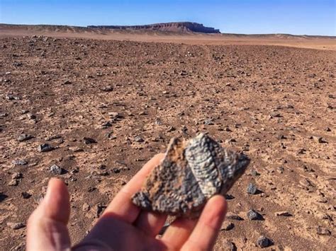 The Sahara Desert Used To Be An Ocean - Overlandsite