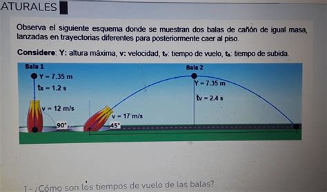 Observa El Siguiente Esquema Donde Se Muestran Dos Balas De Ca N De