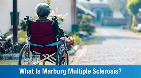 Marburg Multiple Sclerosis An Introduction Plexus