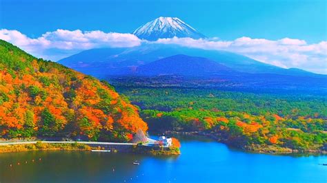 4k映像 絶景ドローン空撮「富士山 秋 紅葉の精進湖・青木ヶ原」日本の美しい四季 山梨県富士河口湖町 11月中旬 自然風景 富士五湖