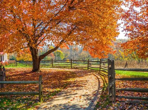 Autumn Walkway Stock Photo By ©andykazie 48135383