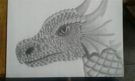 Black and White Dragon Illustration