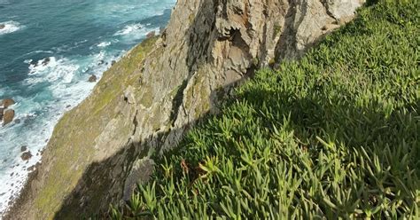 Sintra Cabo Da Roca Et Cascais Journ E Compl Te Priv E Getyourguide