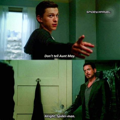 Peter Parker And Tony Stark Marvel Avengers Funny Avengers Funny