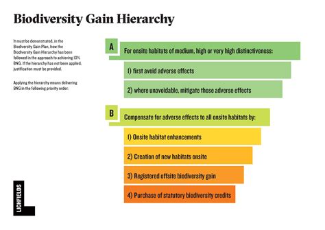 Biodiversity Net Gain A Timeline Guide Of The Changes To The Planning