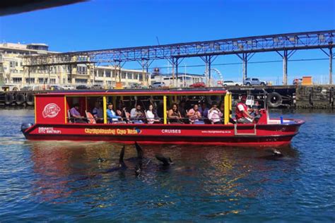 Cape Town Harbour Cruise | City Sightseeing