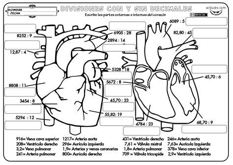Divisiones Variadas Con Y Sin Decimales Actiludis Artofit