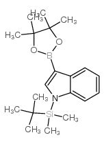 Terc Butil Dimetil 3 4 4 5 5 Tetrametil 1 3 2 Dioxaborolan 2 Il