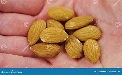 Organic Peeled Dried Almond Nuts In Hand Stock Footage Video Of