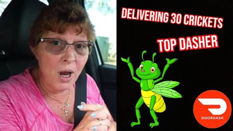 30 Crickets Making Money Top Dasher Doordash YouTube