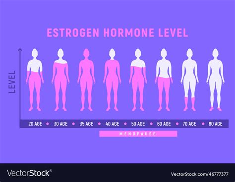 Estrogen Menopause Hormone Woman Level Female Vector Image