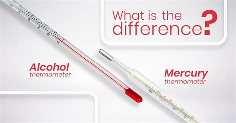 Mercury Thermometer Vs Alcohol Thermometer – Science Equip