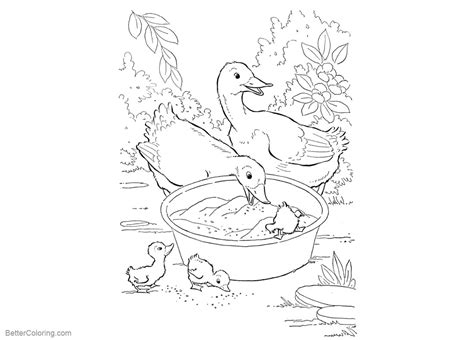 Duck Pond Coloring Pages Coloring Pages