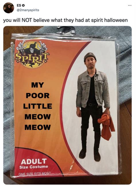 The Funniest Spirit Halloween Costume Memes Darcy