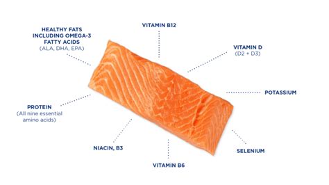 Is Farmed Salmon A Healthy And Sustainable Choice Global Salmon