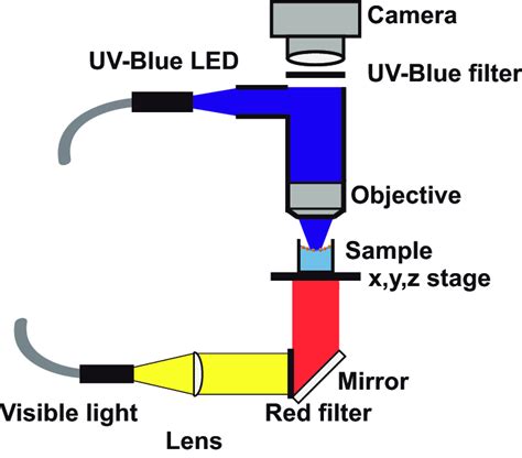 Figure A.1: Schematic of the custom built upright microscope for ...