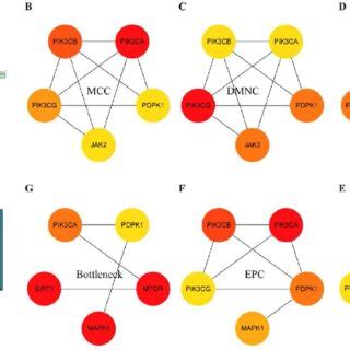 Construction Of The Ppi Network Of Che Treatment Gc Related Targets And