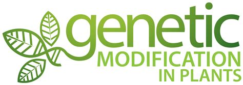 Genetically Modified Plants - Genetic modification in plants