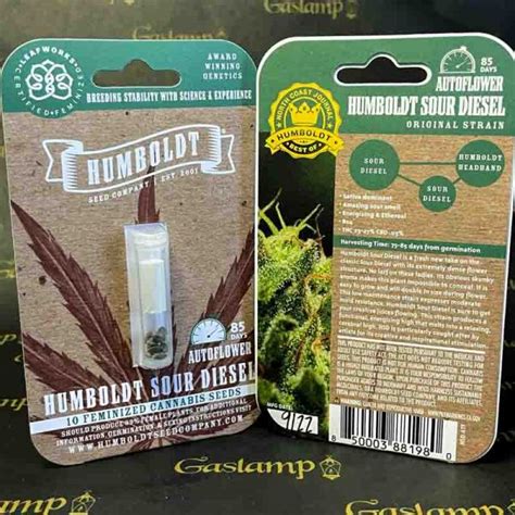 Humboldt Seed Company Humboldt Sour Diesel Auto 10 Feminized Autoflower Seeds Gaslamp Seeds