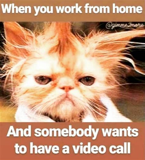 Funny Wfh Memes To Help You Get Through The Work Day In Funny