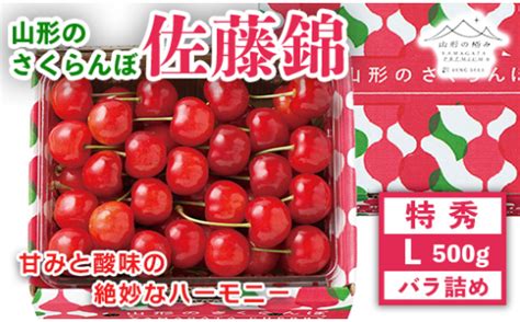 《先行予約》【山形の極み】さくらんぼ佐藤錦 500g バラ詰 F2y 5177 山形県 セゾンのふるさと納税