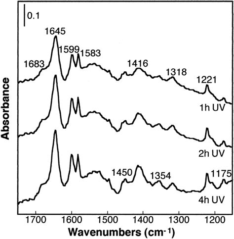 Infrared Spectra Of Toluene Adsorbed At 300 K On Fresh Sio 2 ±tio 2 And