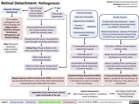 Retinal Detachment: Pathogenesis | Calgary Guide