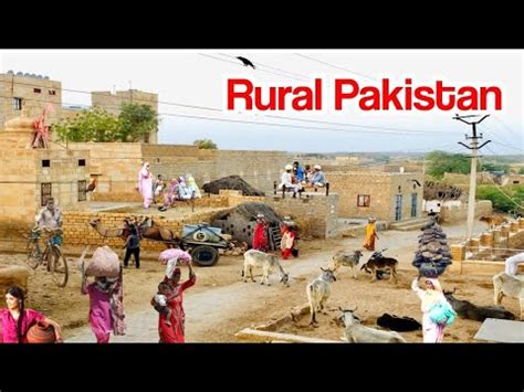 Village Life Pakistan Daily Work Routine Rural Pakistan Village