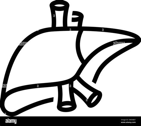 Liver Medical Logo Vector Cut Out Stock Images Pictures Alamy