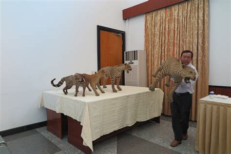 Presenting Artifacts To Ba Ria Vung Tau Museum Independence Palace