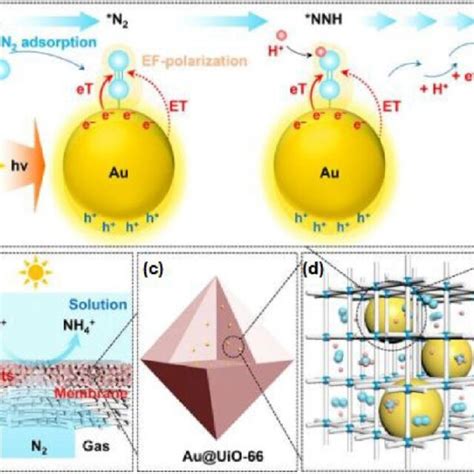 A Illustration For Direct Photocatalytic N 2 Reduction Reaction On