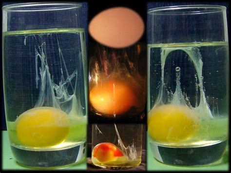 Limpiar Con Huevo El Método Natural Y Efectivo Fácil De Limpiar