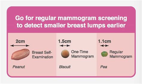 How To Measure Breast Lump Size At Raymond Walker Blog